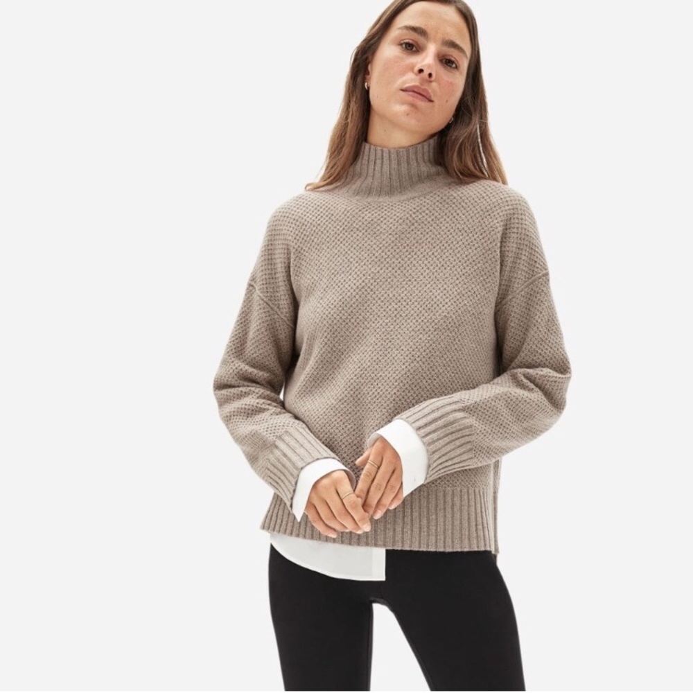 Everlane Oversized Cashmere Turtleneck XS